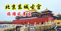 草比簧片免费看中国北京-东城古宫旅游风景区